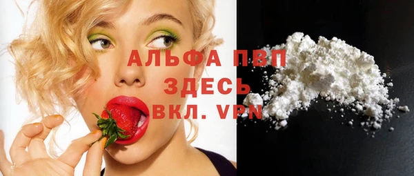 крисы Алексин