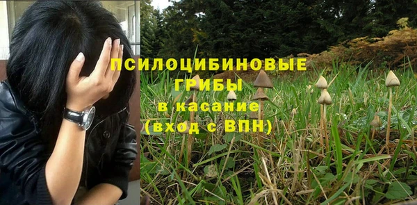 крисы Алексин