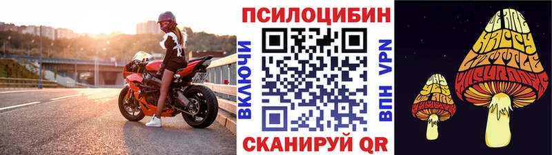 darknet состав  Дедовск  Псилоцибиновые грибы Cubensis 